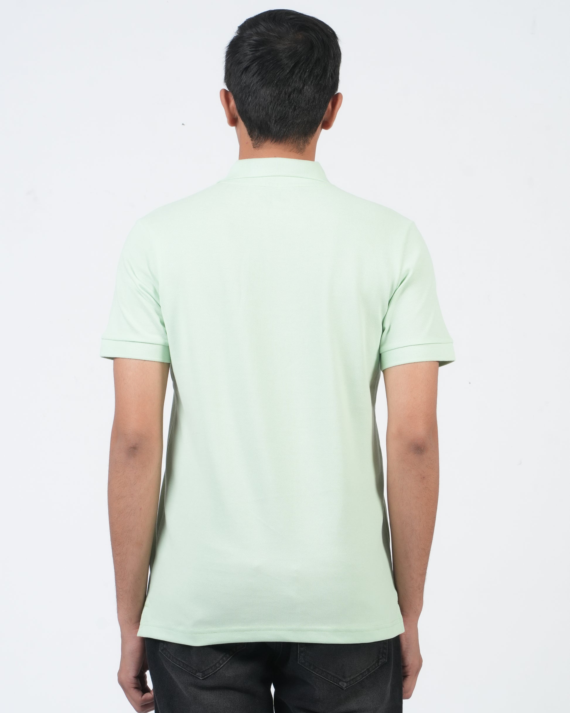 Parrot Green