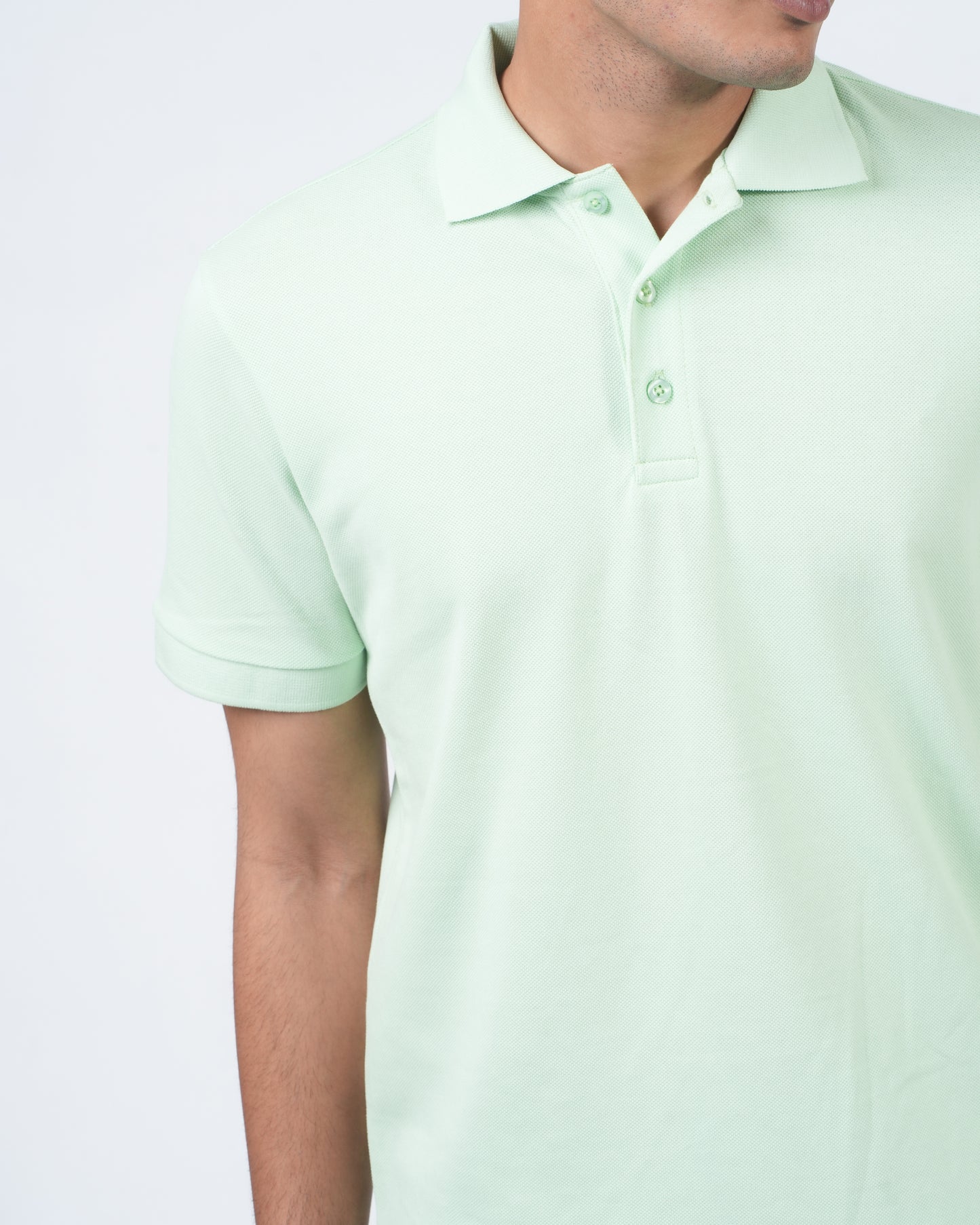 Parrot Green