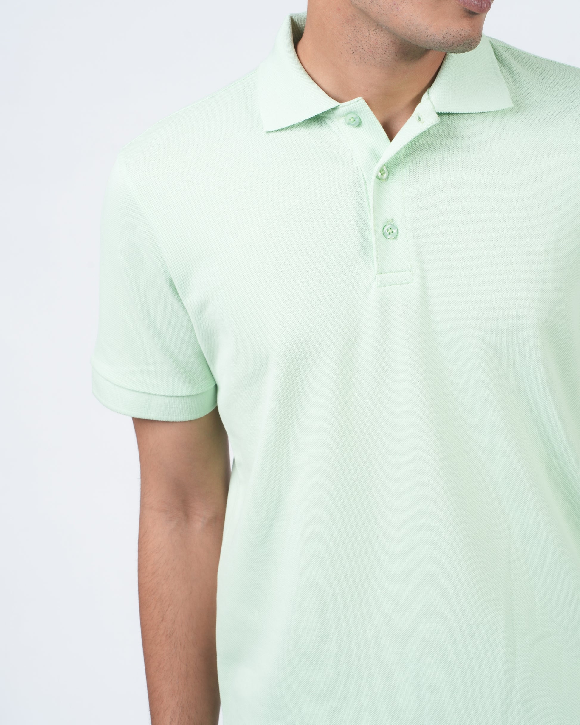 Parrot Green